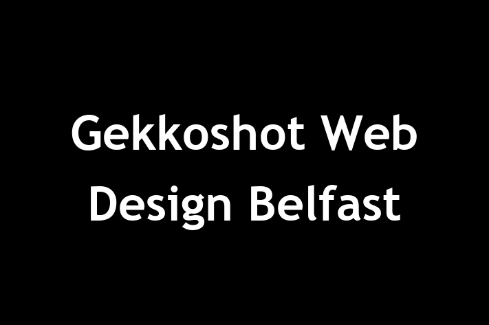 Gekkoshot Web Design Belfast