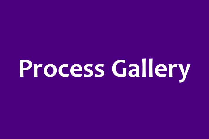 Process Gallery