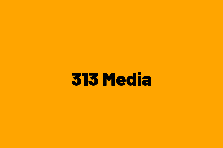 313 Media