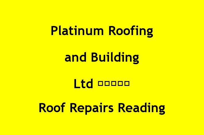 Platinum Roofing and Building Ltd  Roof Repairs Reading