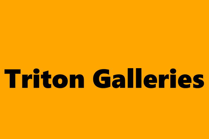 Triton Galleries