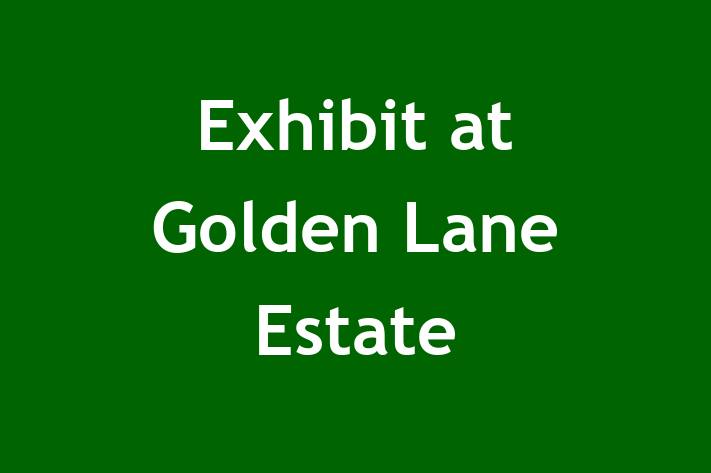 Exhibit at Golden Lane Estate