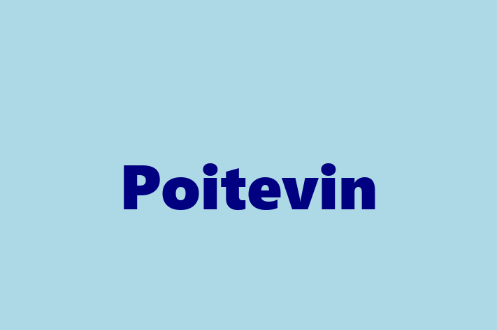 Poitevin Dog for Adoption in Gateshead