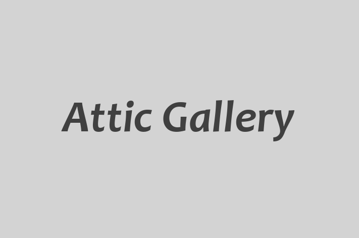 Attic Gallery