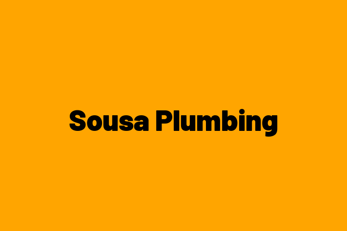 Sousa Plumbing