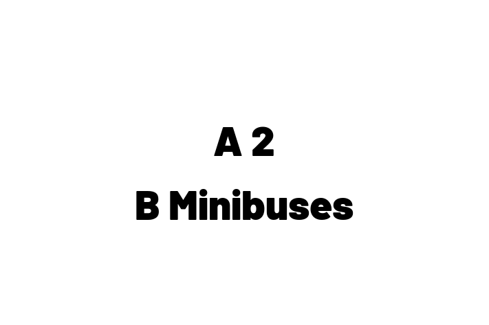 A 2 B Minibuses