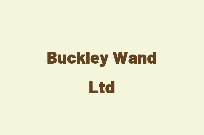 Buckley Wand Ltd