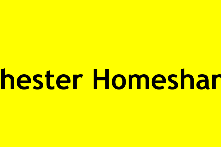 Chester Homeshare