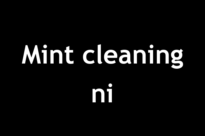 Mint cleaning ni