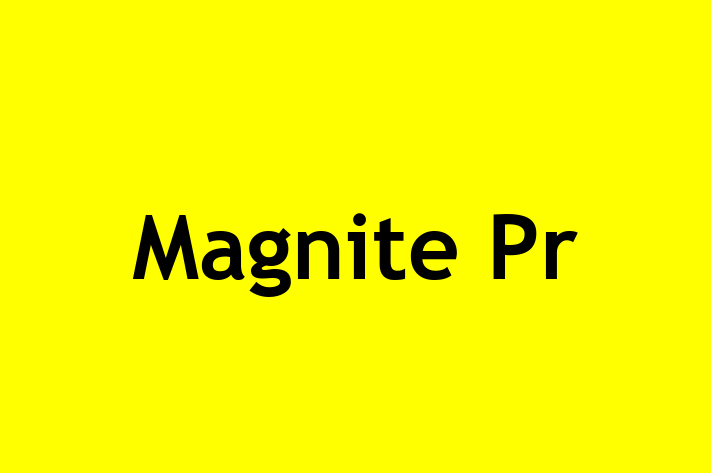 Magnite Pr