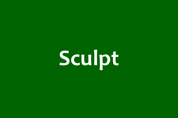 Sculpt