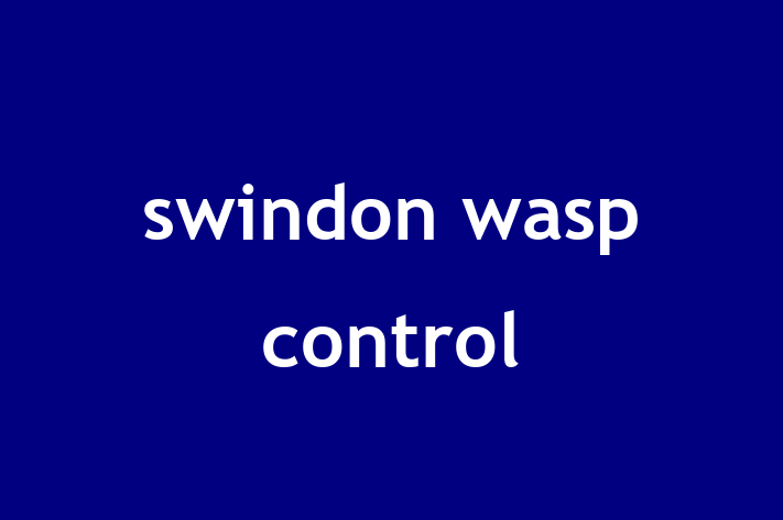 swindon wasp control