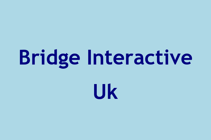 Bridge Interactive Uk