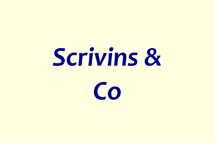 Scrivins & Co