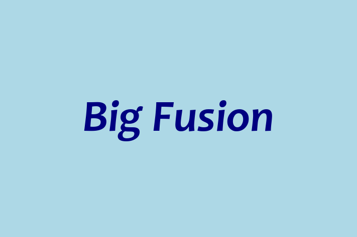 Big Fusion