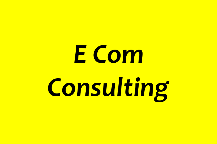 E Com Consulting