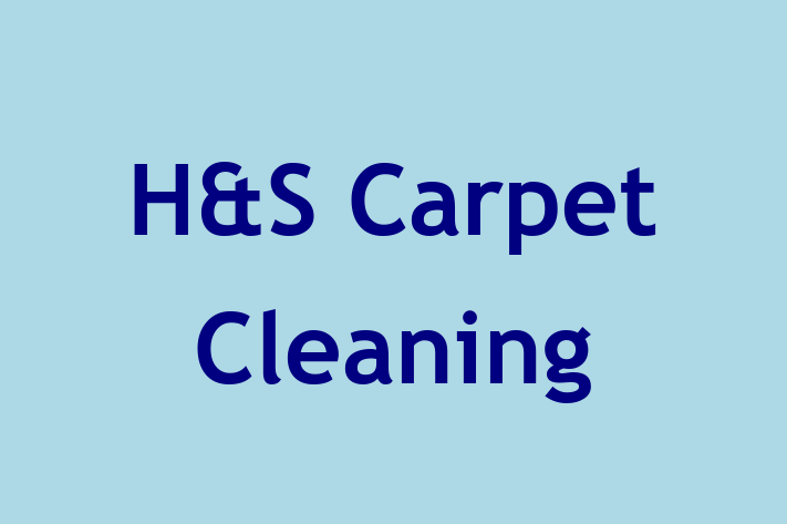 H&S Carpet Cleaning