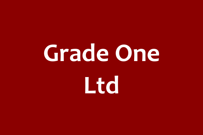 Grade One Ltd