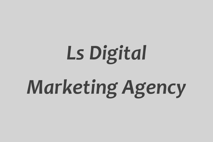 Ls Digital Marketing Agency