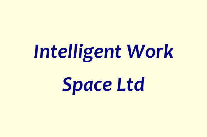 Intelligent Work Space Ltd