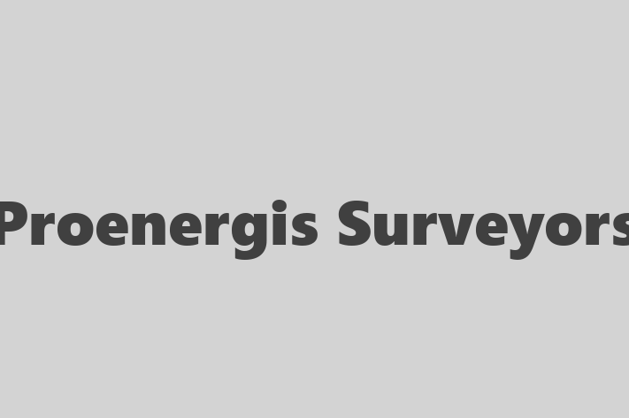 Proenergis Surveyors