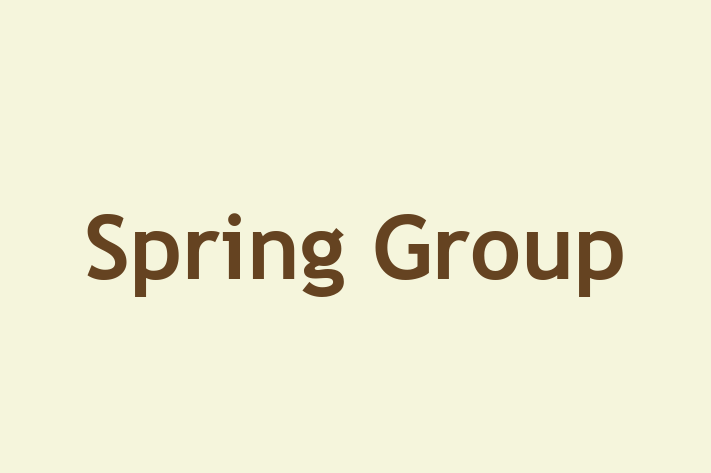 Spring Group