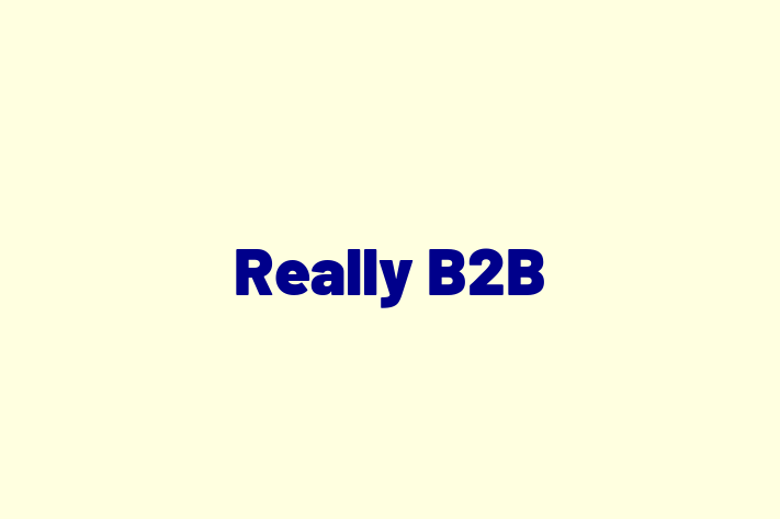 Really B2B