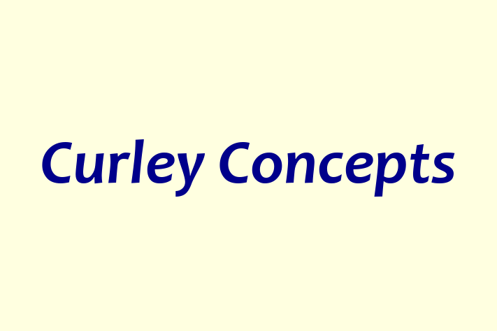 Curley Concepts