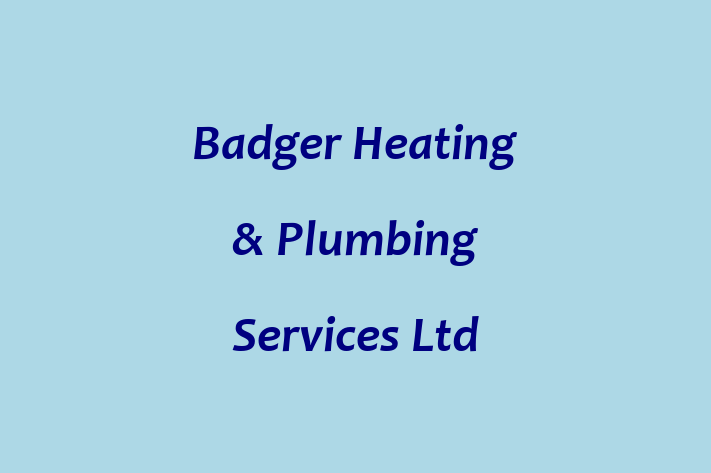 Badger Heating & Plumbing Services Ltd