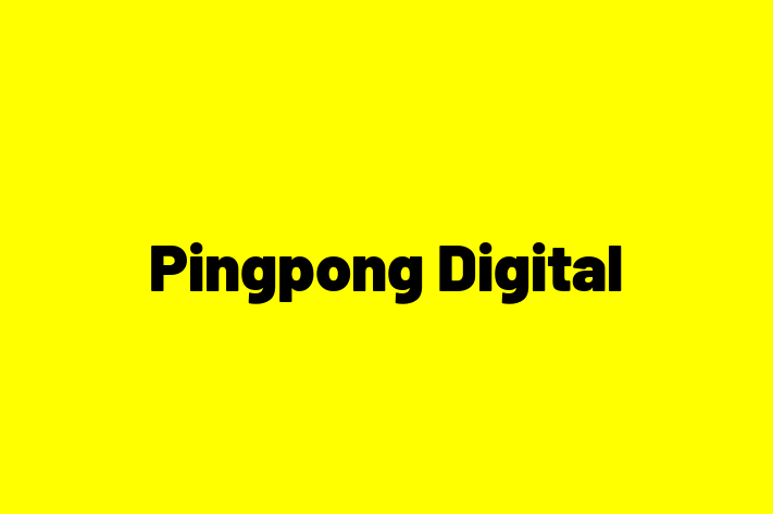 Pingpong Digital