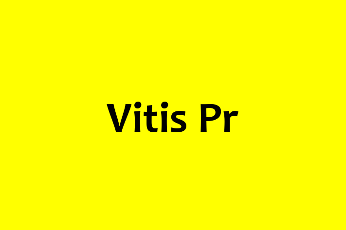 Vitis Pr