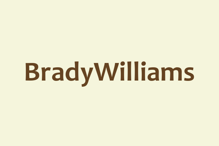 BradyWilliams