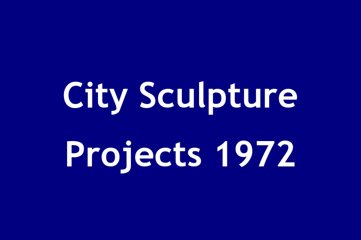 City Sculpture Projects 1972