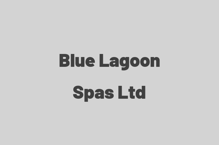 Blue Lagoon Spas Ltd