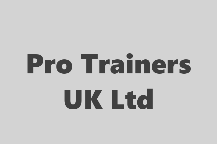 Pro Trainers UK Ltd