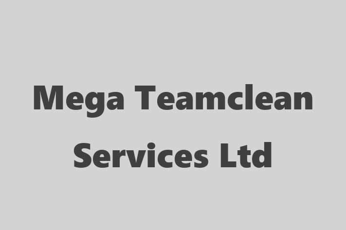 Mega Teamclean Services Ltd