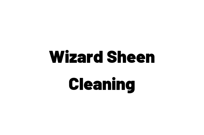 Wizard Sheen Cleaning