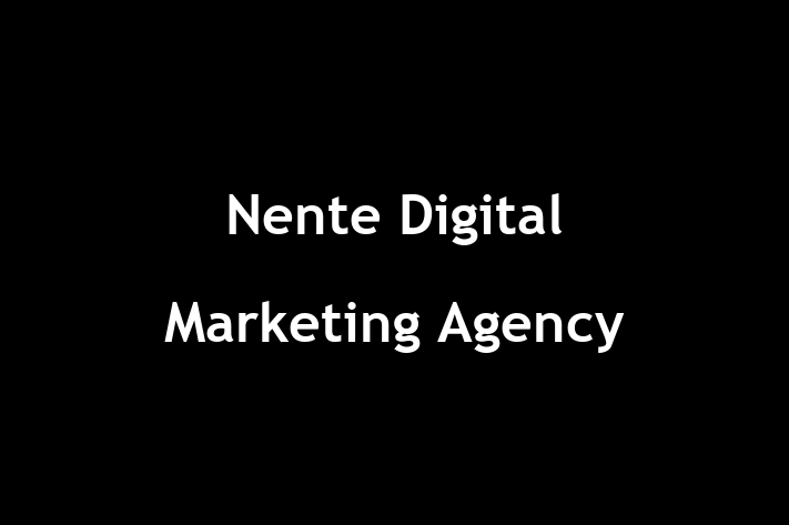 Nente Digital Marketing Agency