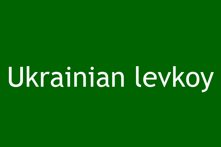 Cat Ukrainian levkoy for Sale in Abingdon