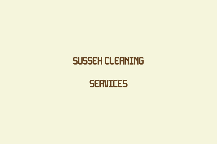 SUSSEX CLEANING SERVICES