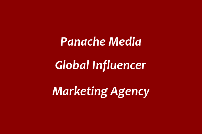 Panache Media   Global Influencer Marketing Agency