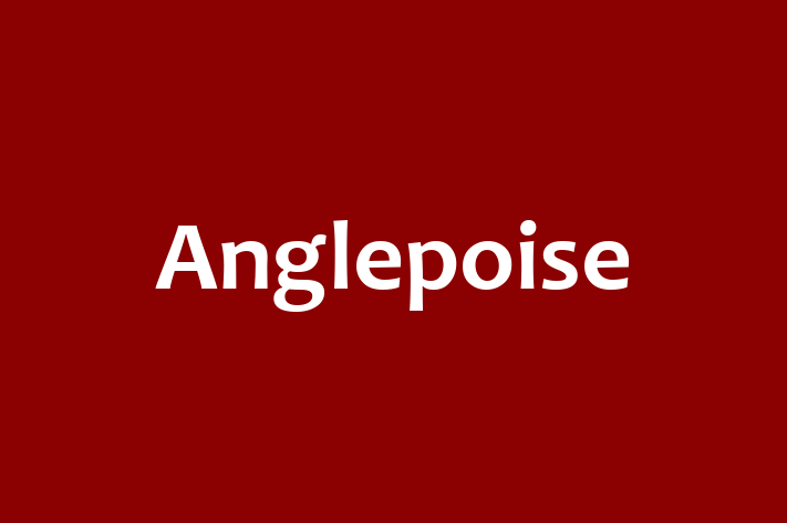 Anglepoise