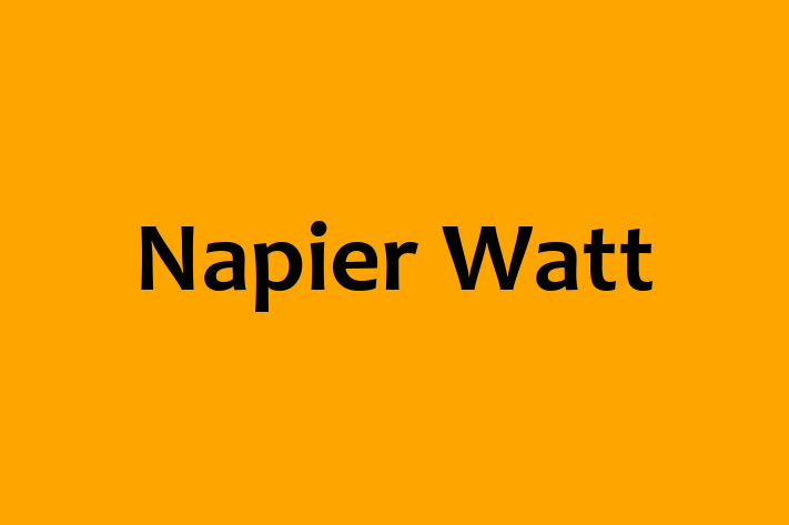 Napier Watt