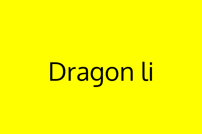 Adopt a Beautiful Dragon li Cat in Acton