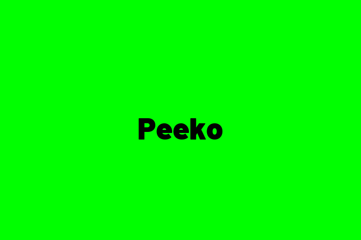 Peeko