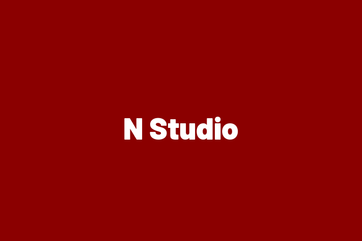 N Studio