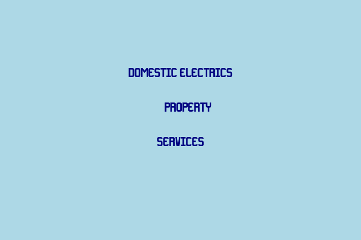 Domestic Electrics & Property Services