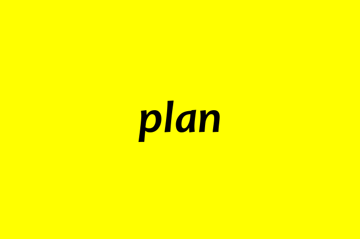 plan