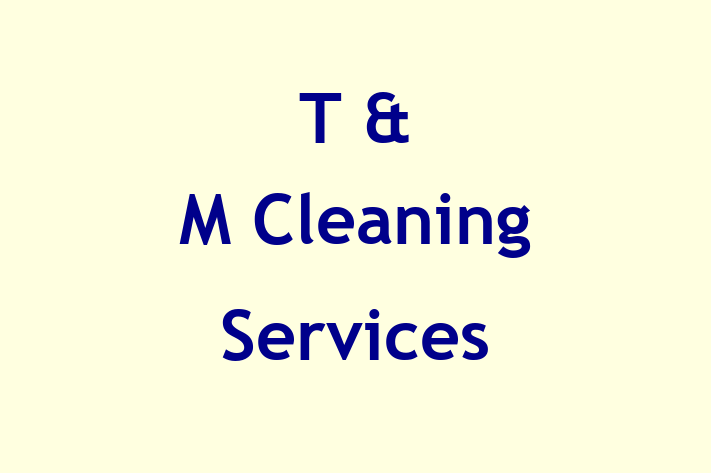 T & M Cleaning Services