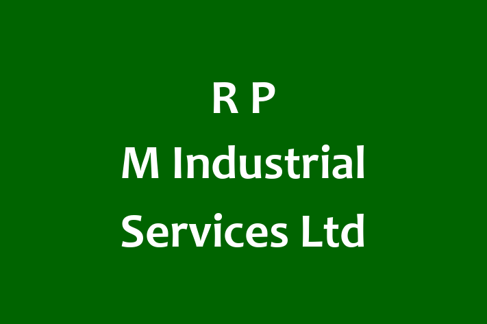 R P M Industrial Services Ltd